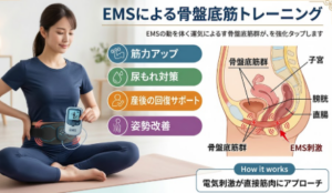 韓国　骨盤底筋EMS